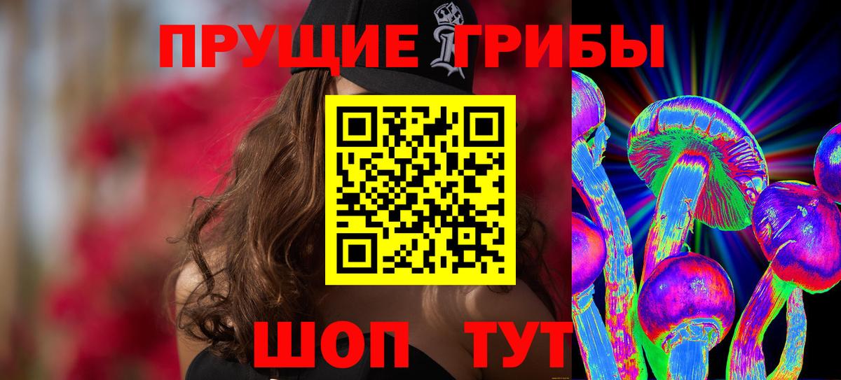 Кольчугино  Псилоцибиновые грибы Psilocybe  Вход с VPN 